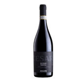 Amarone della Valpolicella Classico Riserva “Bosan” 1500ml (2005)