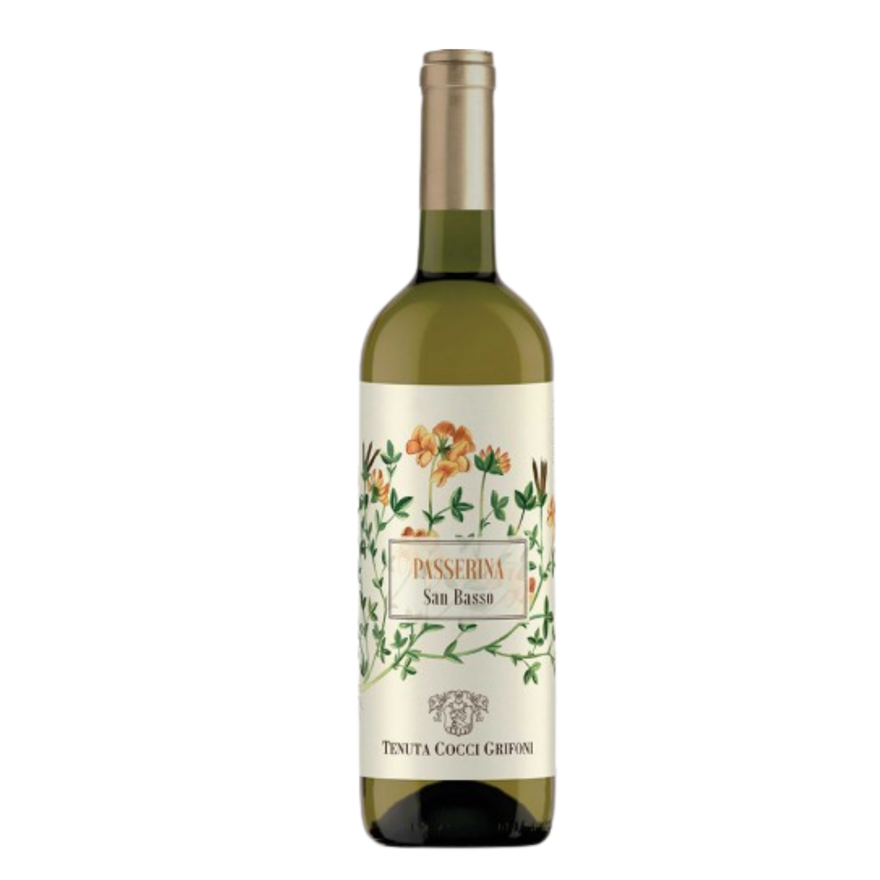 Passerina San Basso 750ml (2022)